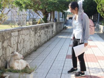 鈴木宏美さん②｜初日編｜多良間島：たらま農産