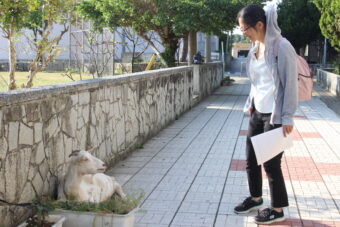 鈴木宏美さん②｜初日編｜多良間島：たらま農産