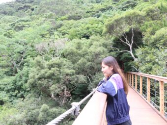 木全葵さん②｜お仕事編｜国頭村：比地大滝キャンプ場